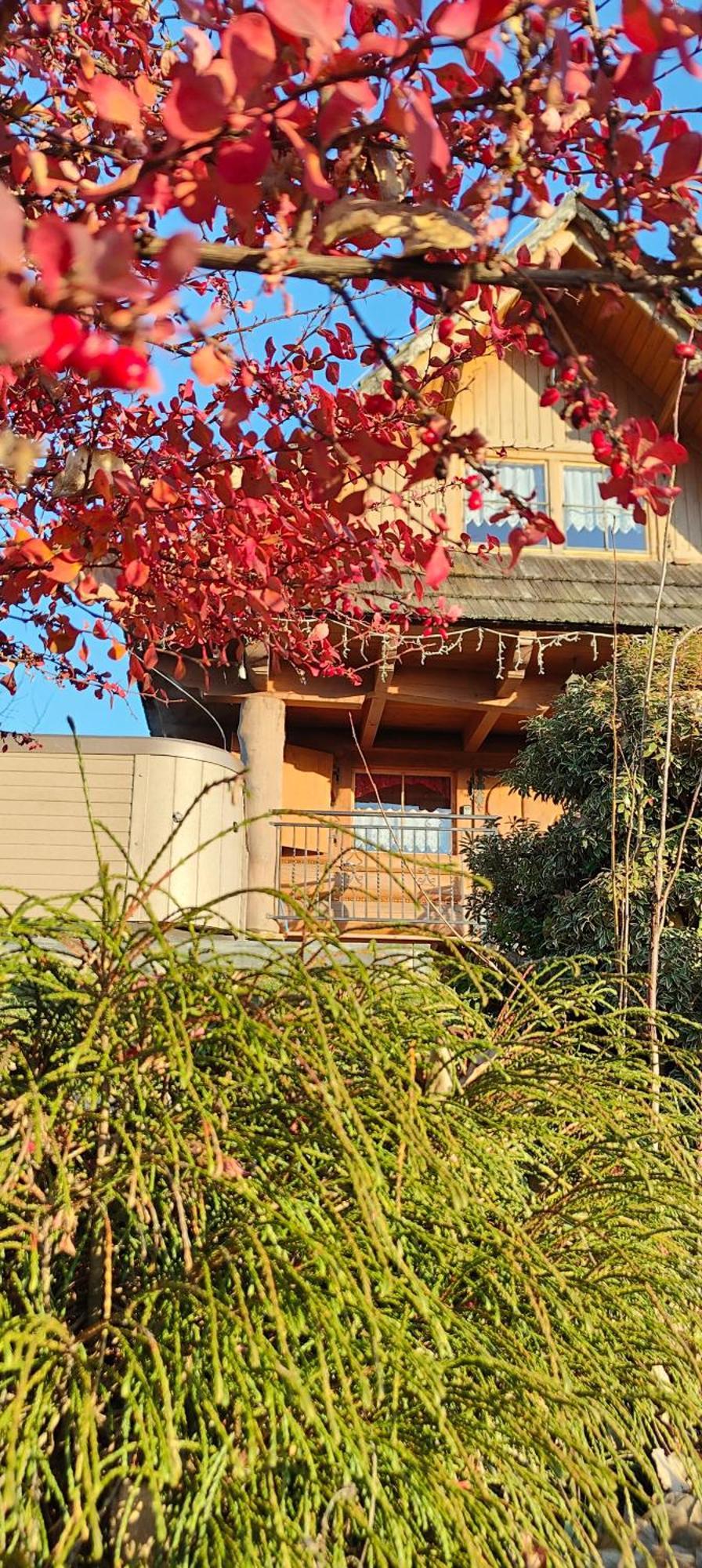 Osada Koniowka Villa ภายนอก รูปภาพ